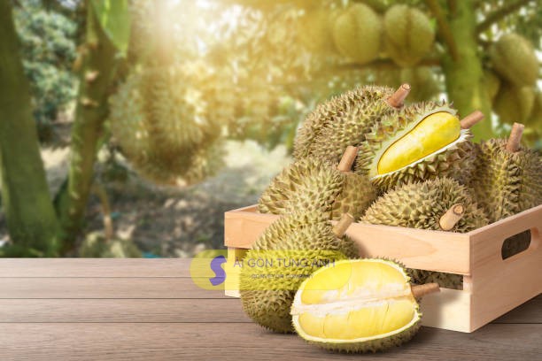 băng tải sơ chế nông sản